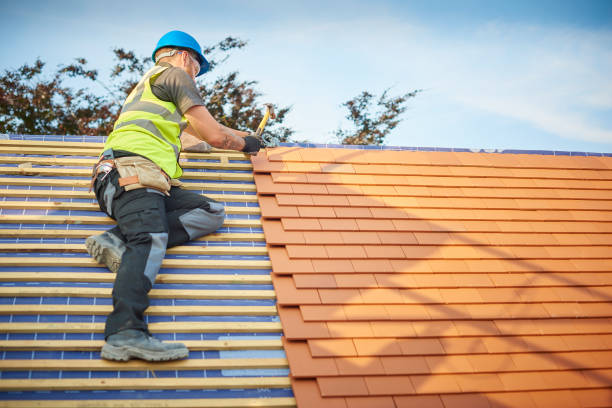 Best Asphalt Shingle Roofing  in Norridge, IL